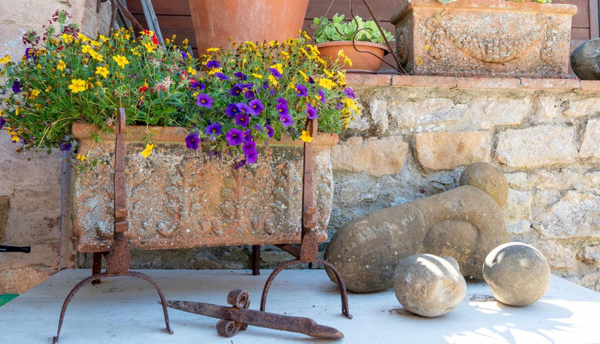 La Domus Di Marta Appartement Volterra Buitenkant foto